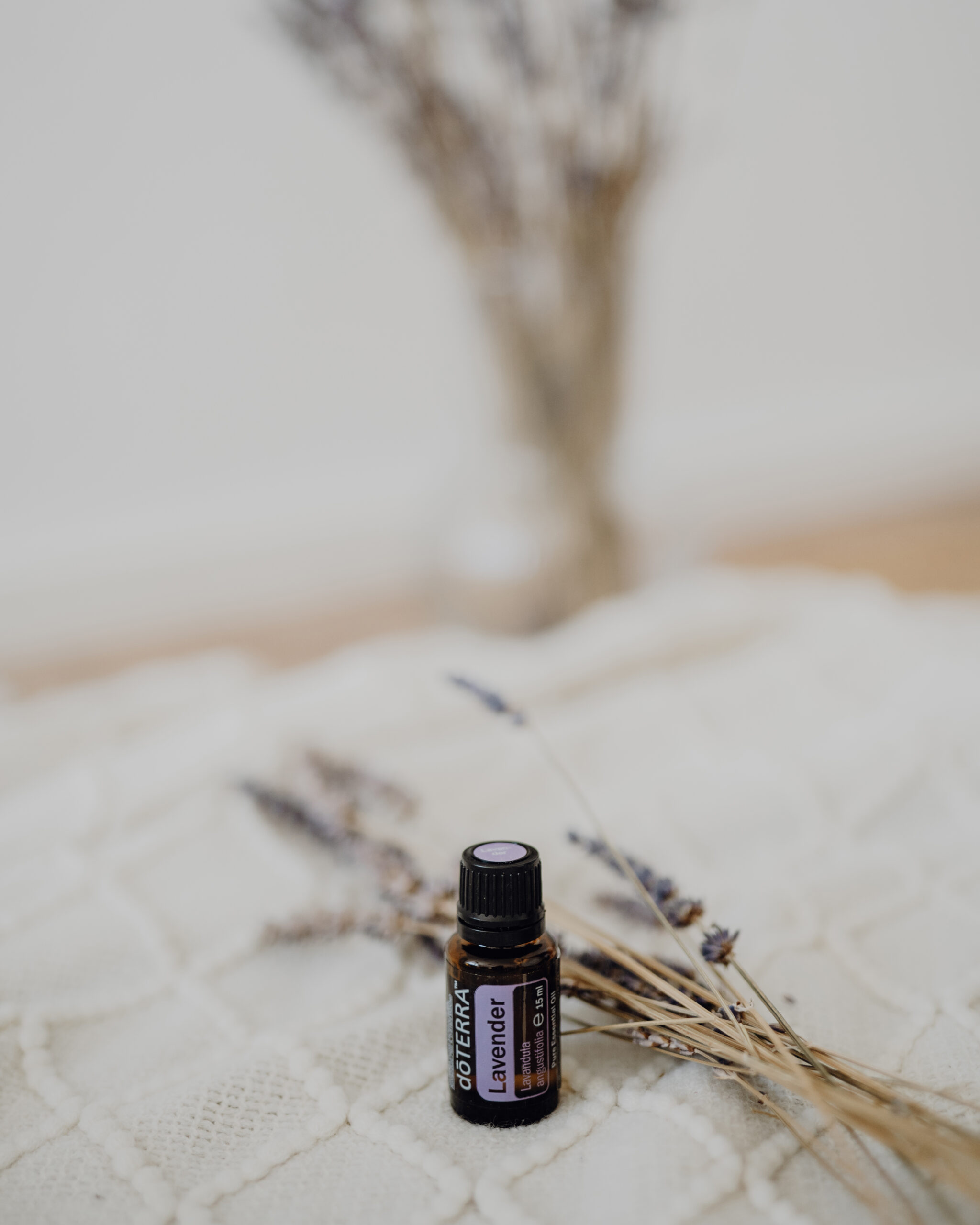 Soulcare with Oils; doTerra; ätherische Öle; Diffusor