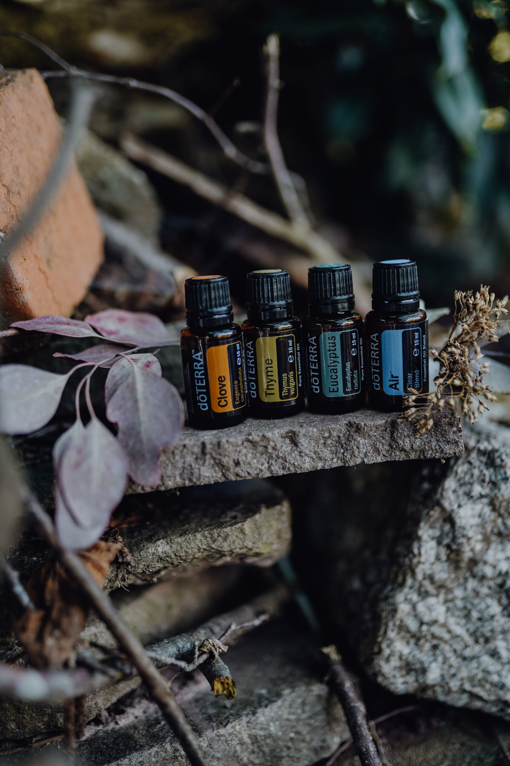 doTerra; ätherische Öle; Diffusor; Soulcare with Oils